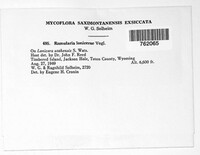 Image Associated With the Occurence